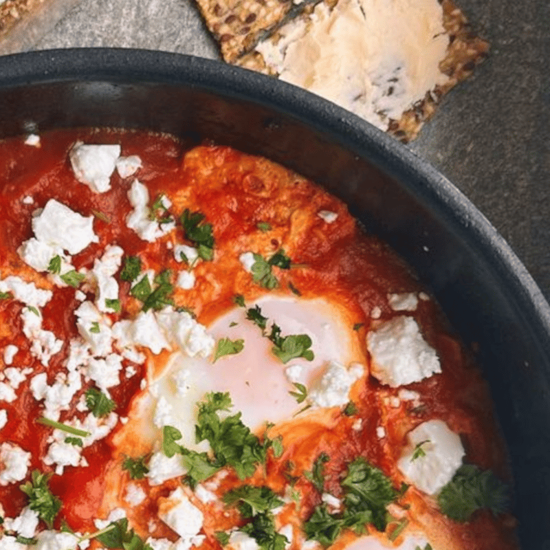 shakshouka 800x800
