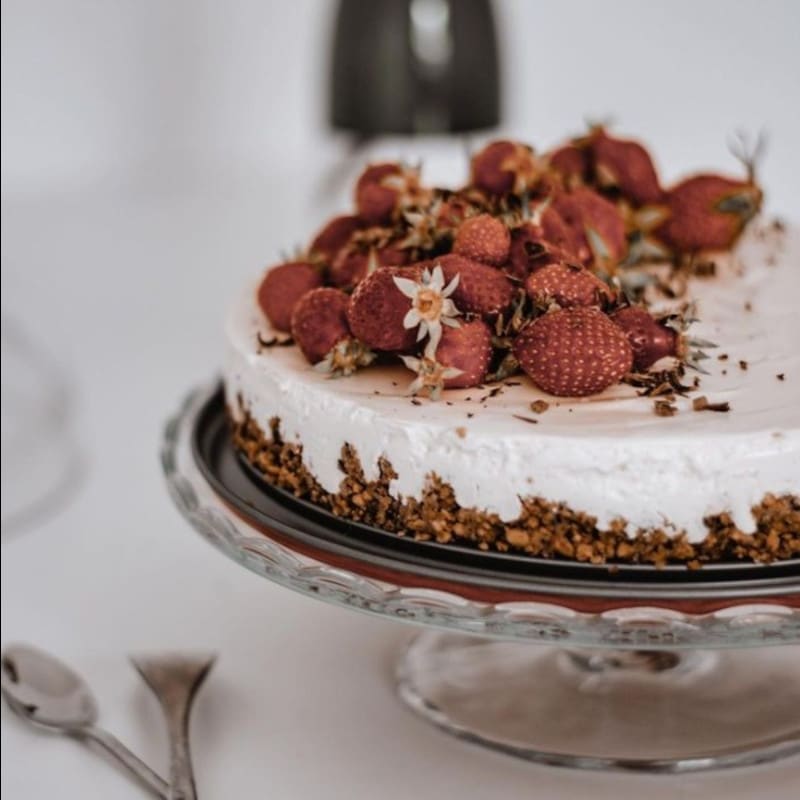 cheesecake 800x800